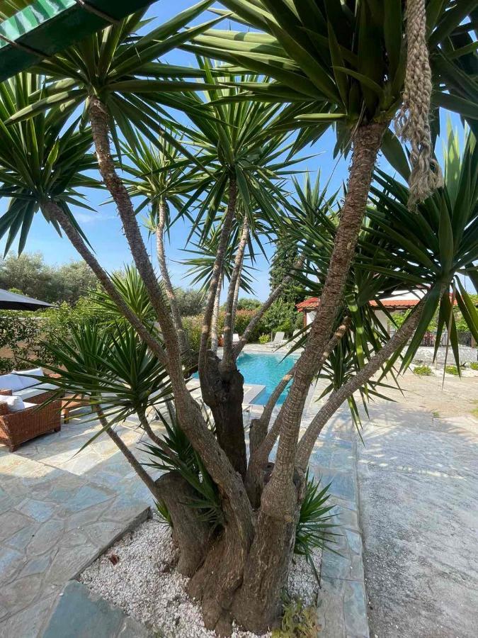 Vila Kalimera Private Pool Nea Poteidaia Ngoại thất bức ảnh